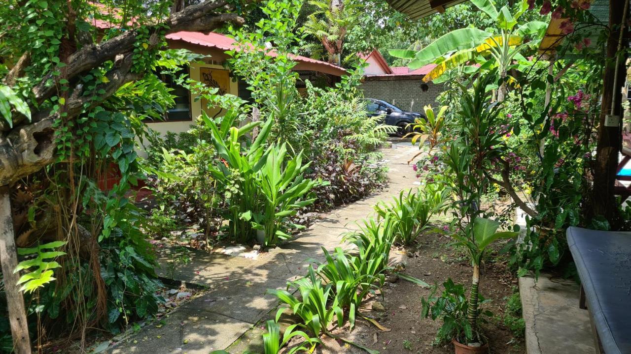 Gecko Guesthouse Pantai Cenang  Eksteriør billede