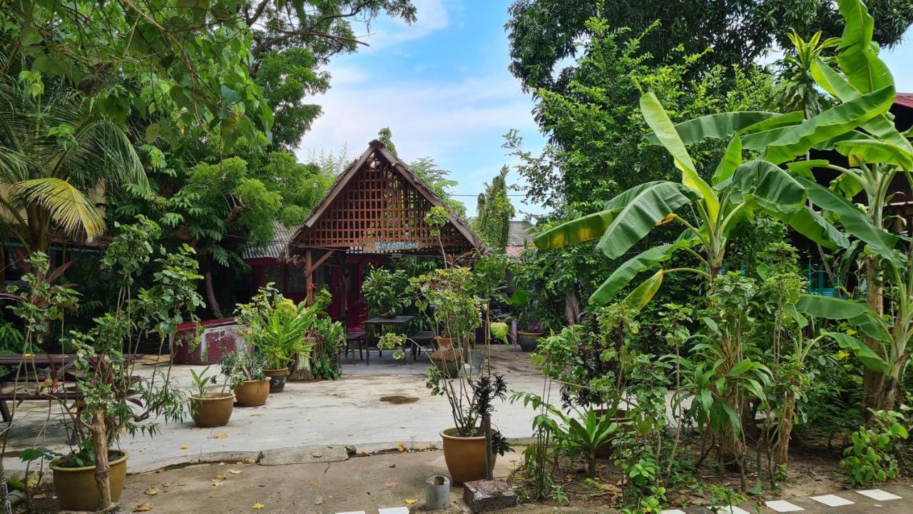 Gecko Guesthouse Pantai Cenang  Eksteriør billede