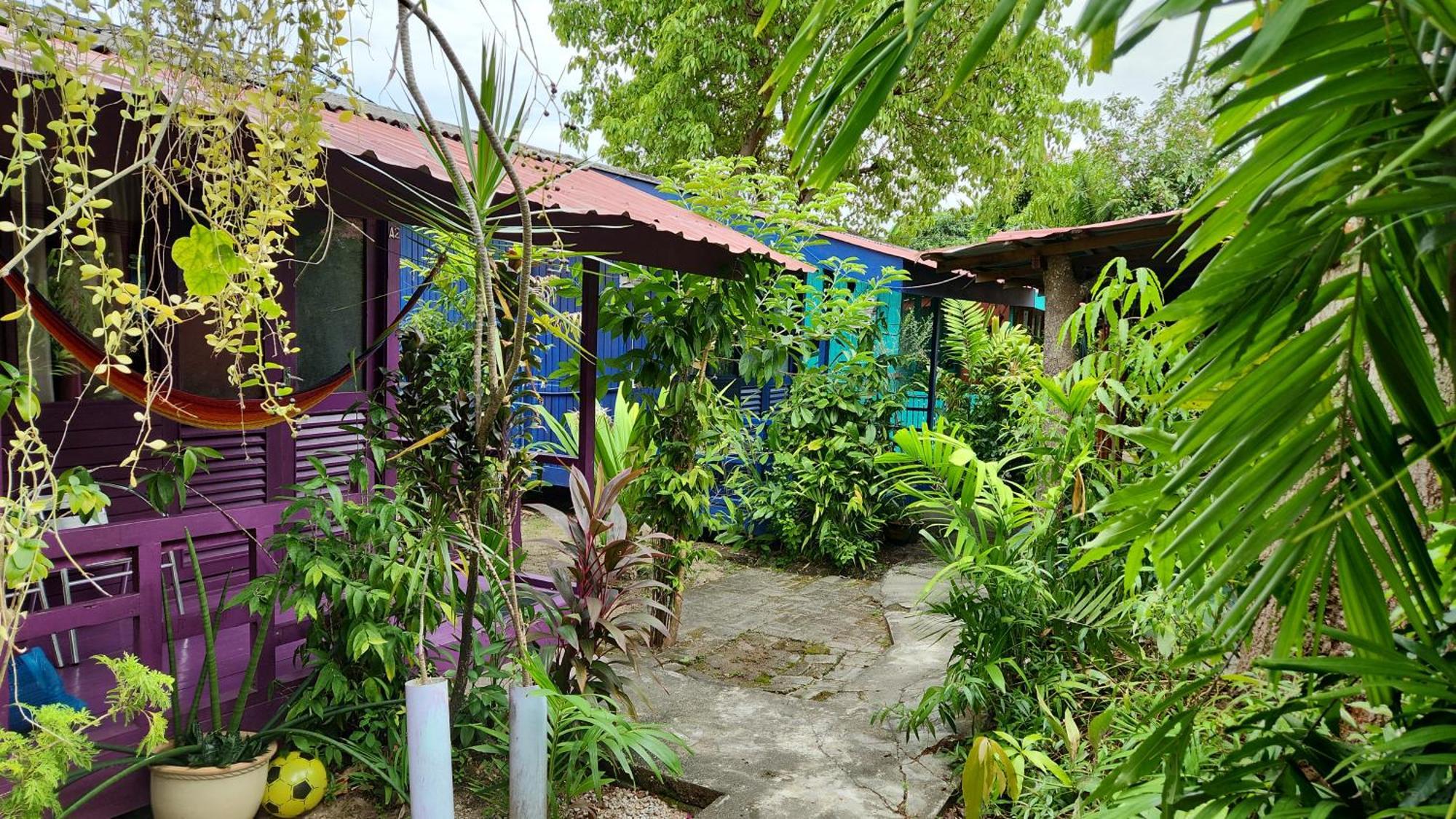 Gecko Guesthouse Pantai Cenang  Eksteriør billede