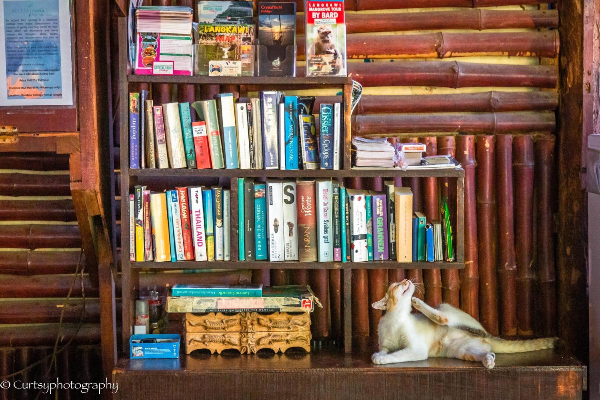 Gecko Guesthouse Pantai Cenang  Eksteriør billede