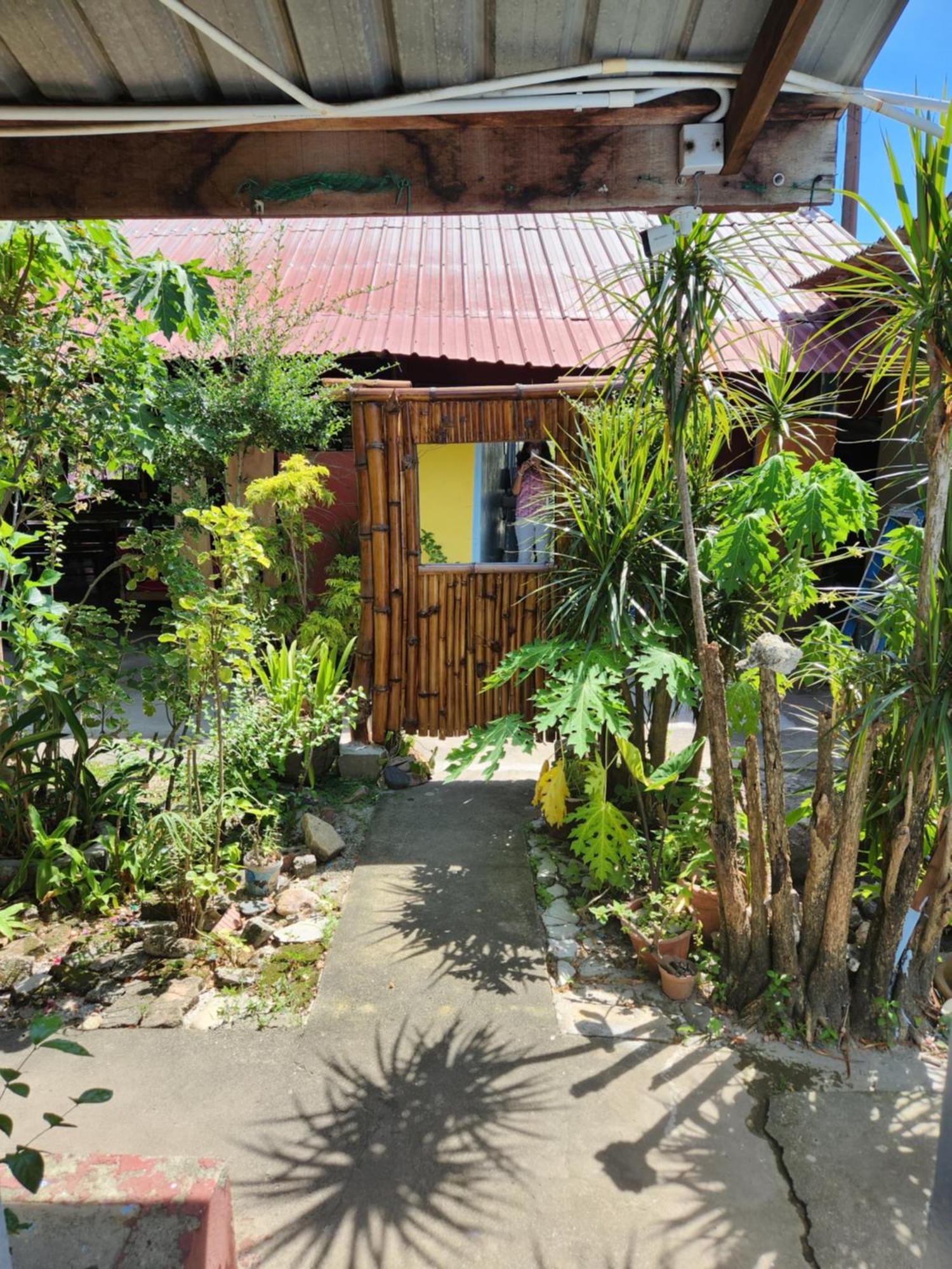 Gecko Guesthouse Pantai Cenang  Eksteriør billede