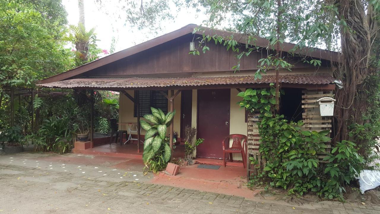 Gecko Guesthouse Pantai Cenang  Eksteriør billede